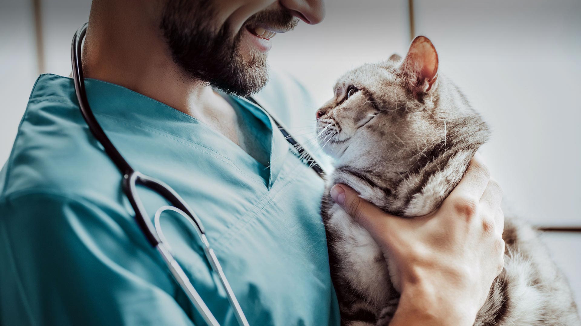 Yıldırım Veteriner